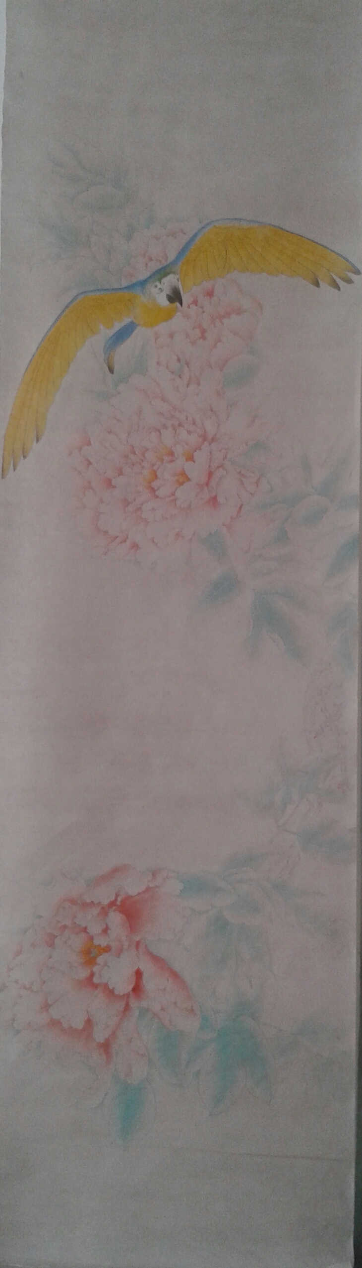 20131031_105043-1.jpg