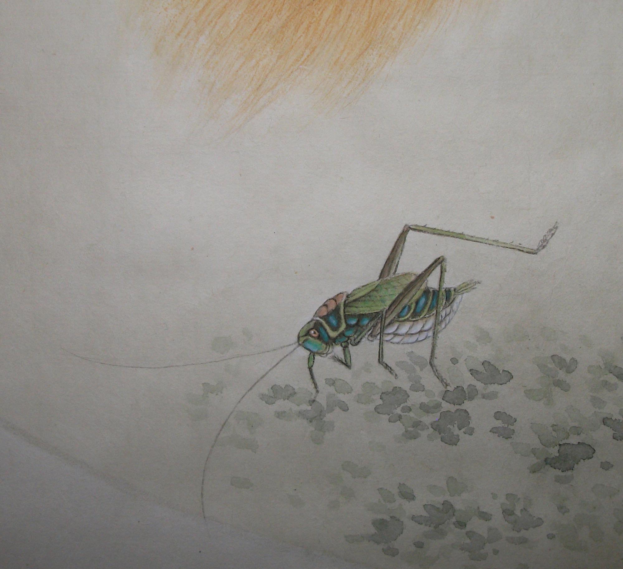 DSCF6402.JPG
