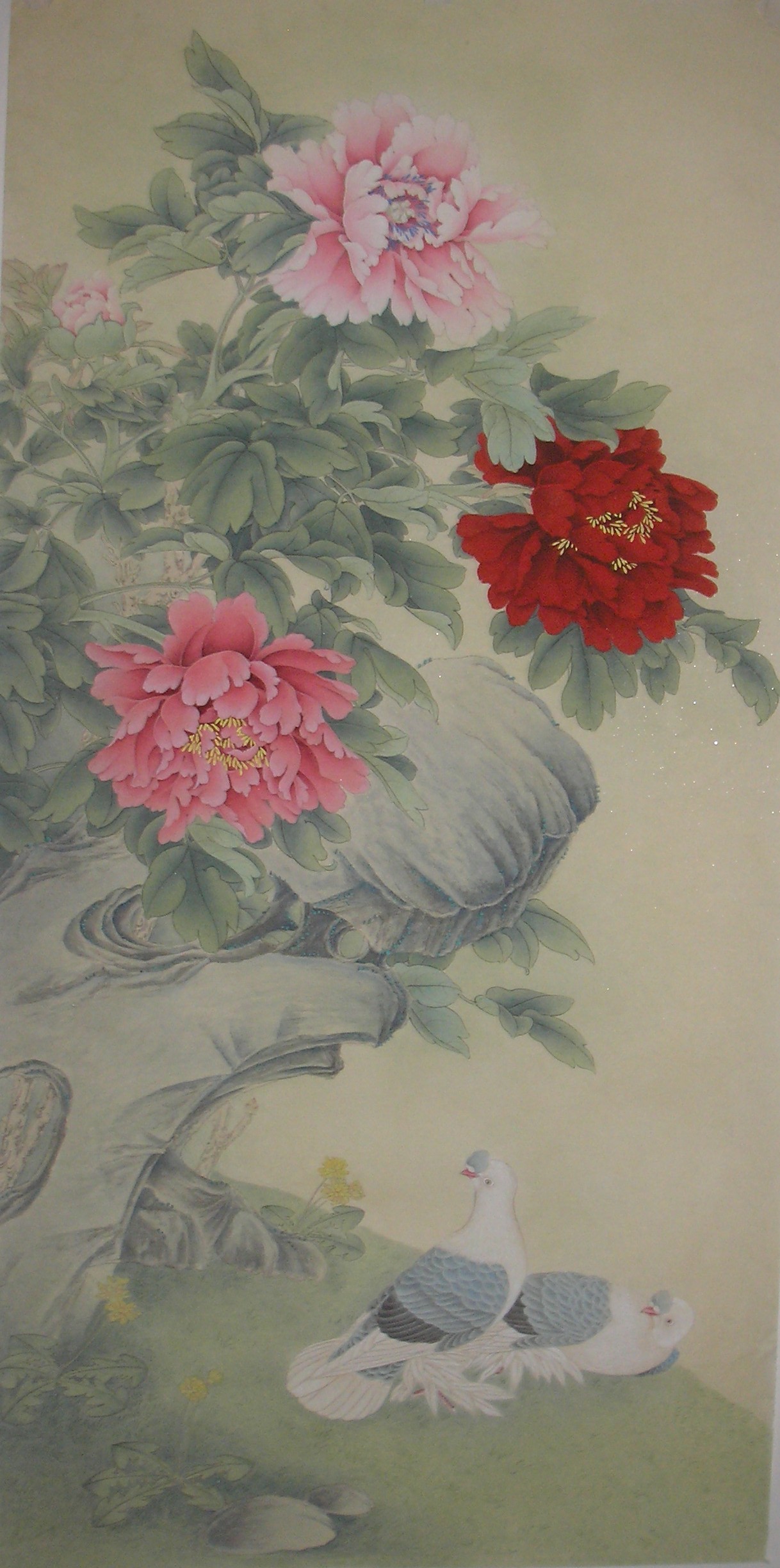 P1010020_conew1c.jpg