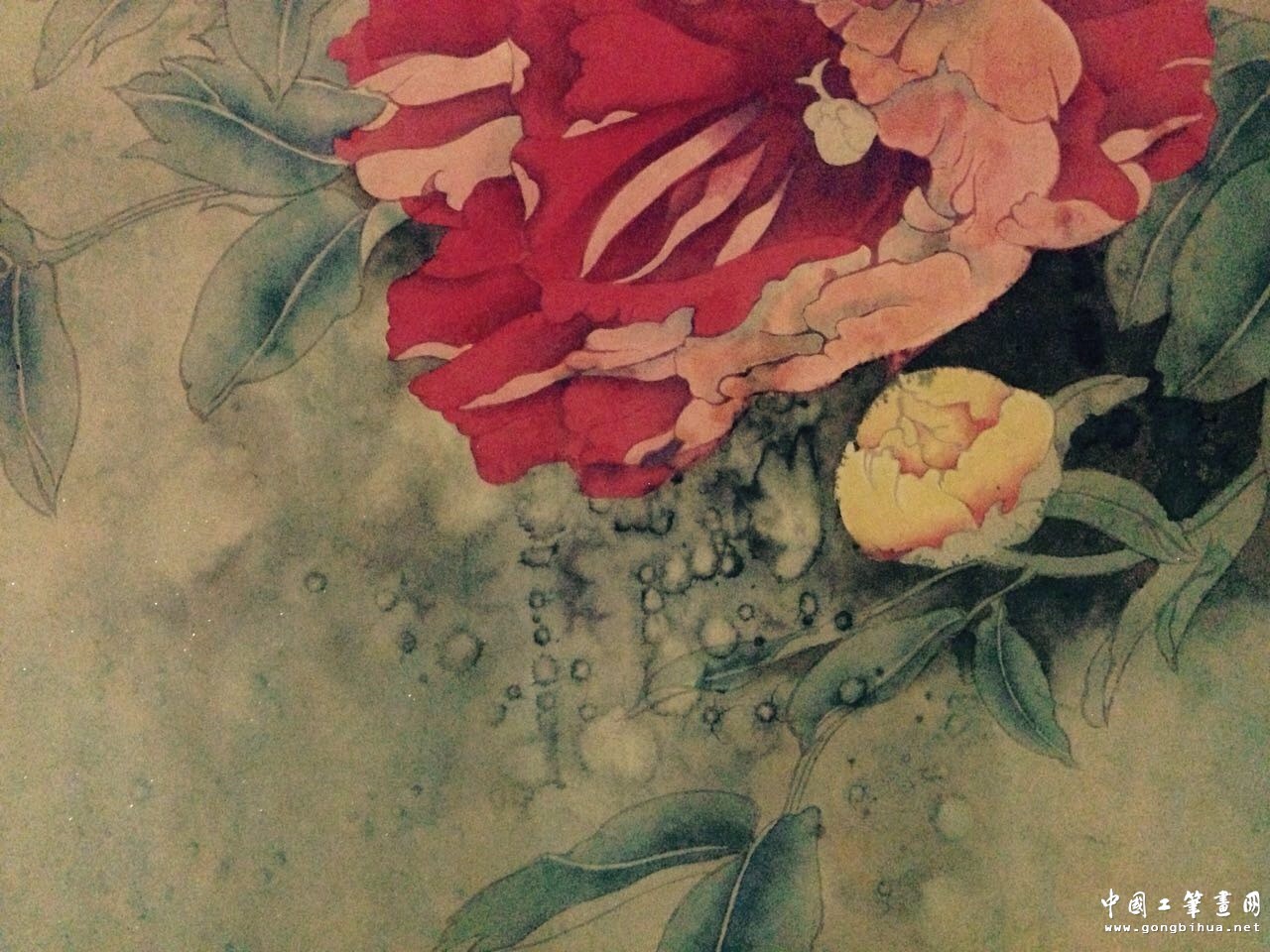wechat_upload147646457358010fbd33d59
