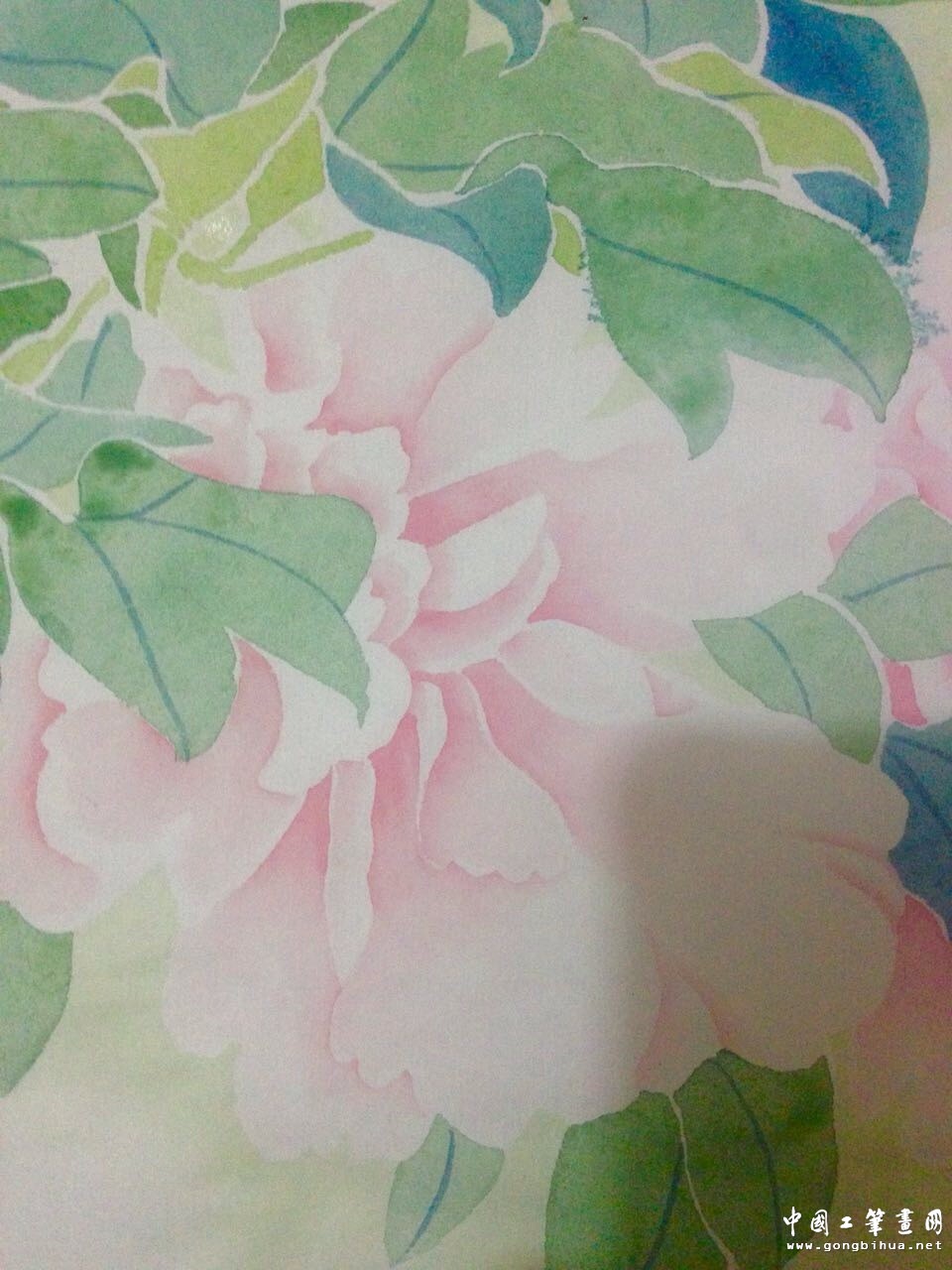 wechat_upload14767844865805f166825a3