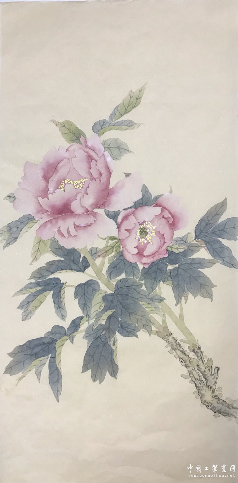 165846vsoszipzln0dnsnx.jpg