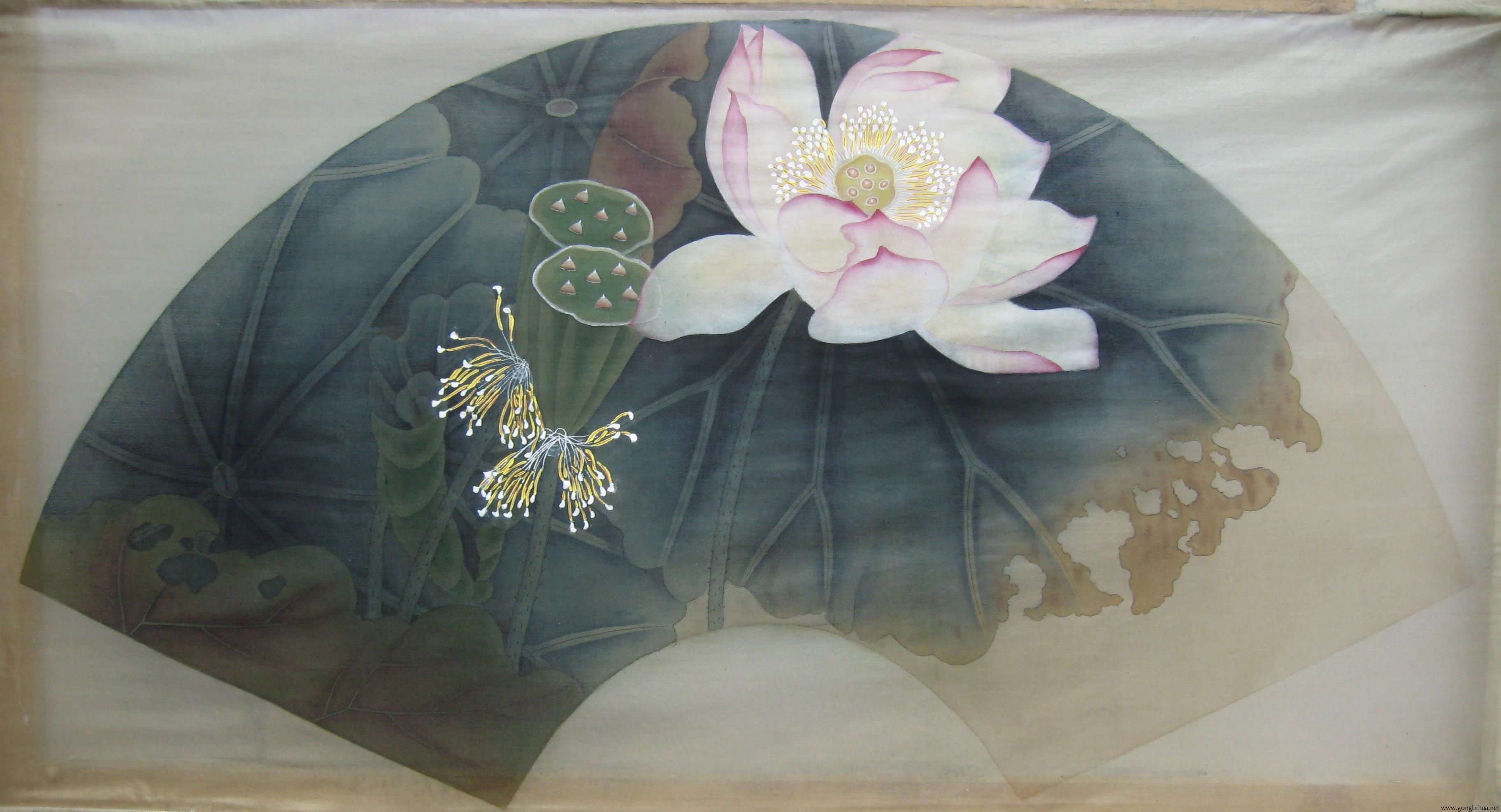 ͤͤ 60cmx32cm.jpg