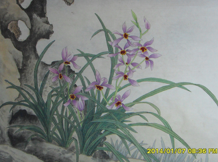 SDC10938_.jpg