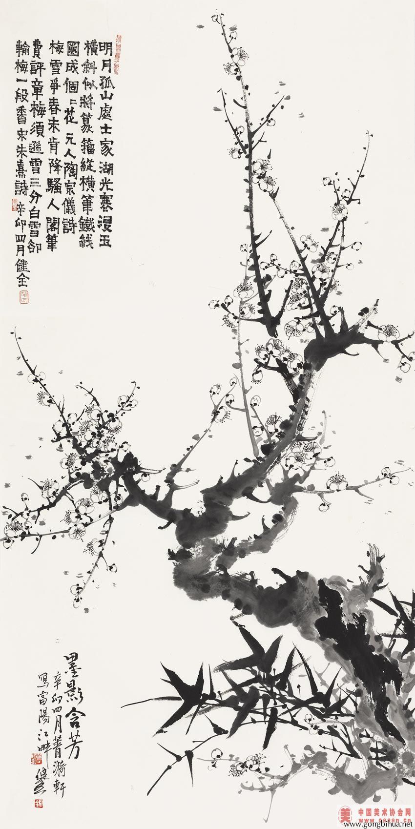 maojianquan20120428222547196.jpg