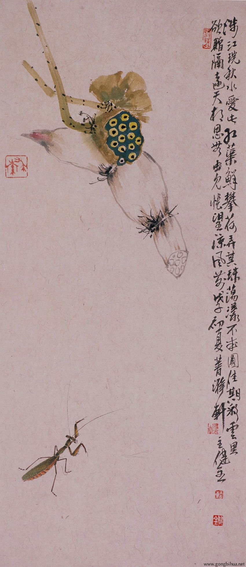 maojianquan20101224112519843.jpg