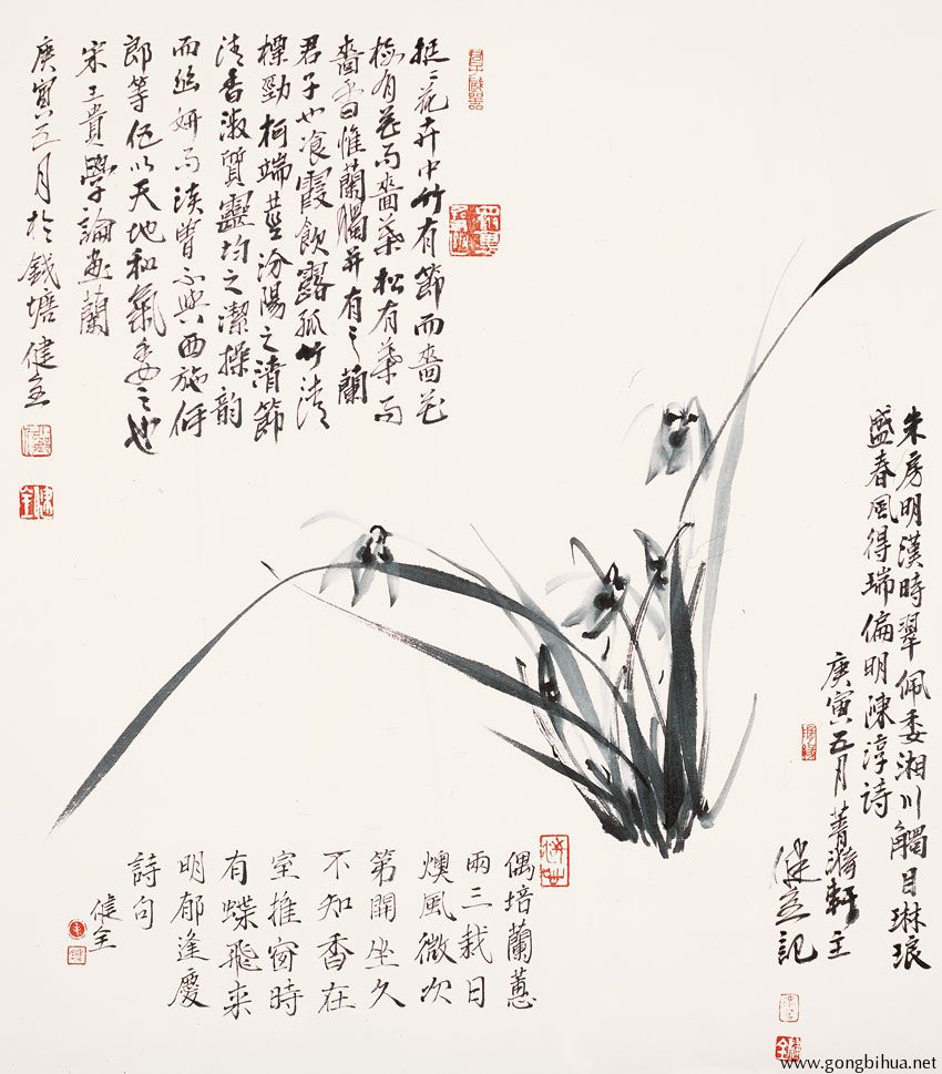 maojianquan20101224115239426.jpg