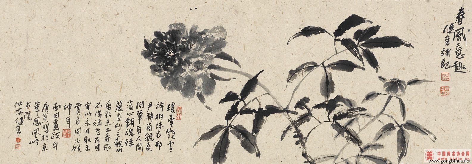 maojianquan20120428223443688.jpg