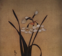  ºƷ壩