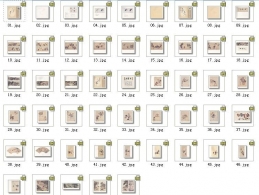 ʵ ͼ51P